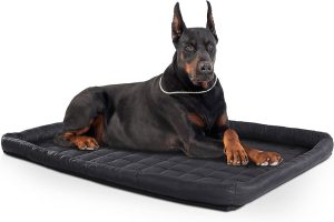 donde encontrar una cama para perros irrompible y duradera