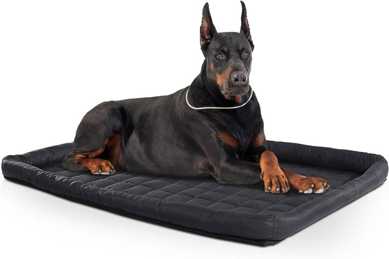 Dónde encontrar una cama para perros irrompible y duradera 3 Dónde encontrar una cama para perros irrompible y duradera