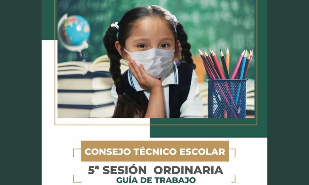 que aspectos clave incluye la guia para la quinta sesion ordinaria del cte
