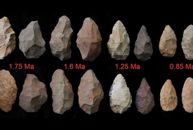 Los primeros instrumentos de los homínidos: materiales utilizados
