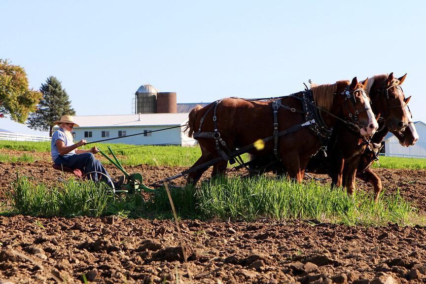 Normas de vida de los amish: tradición, comunidad y valores 1 una imagen de una comunidad amish trabajando juntos en un campo rural